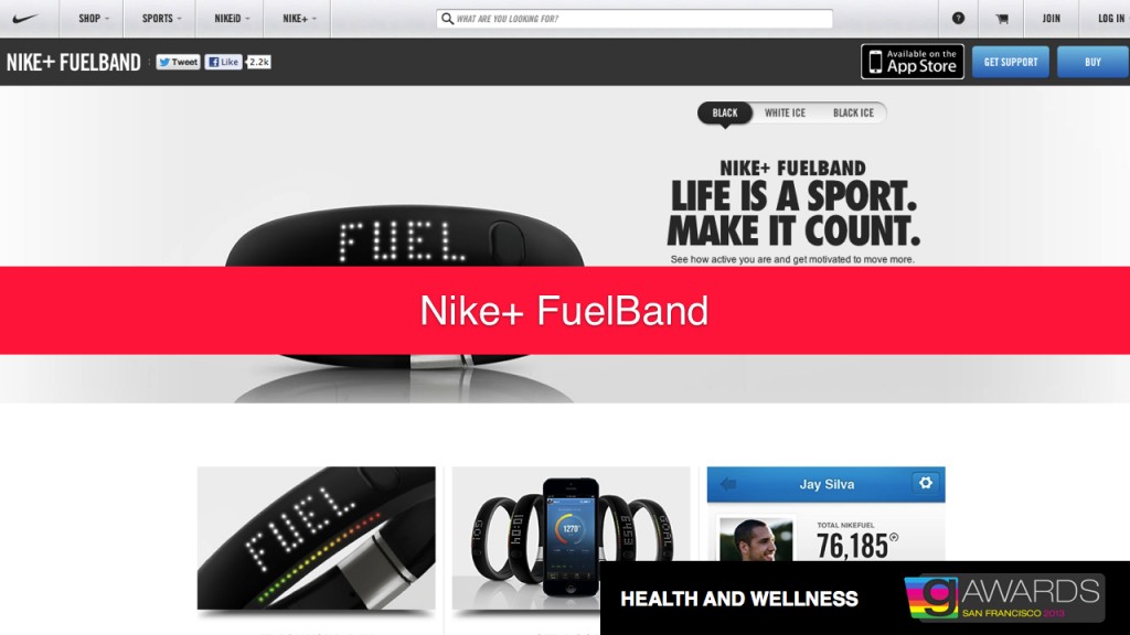 GSummit 2013 -GAward Winners .005