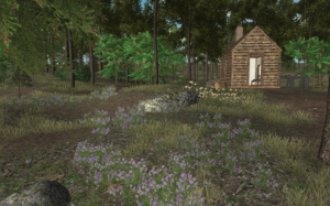 walden