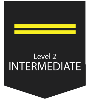 Level2