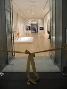 gamification startups